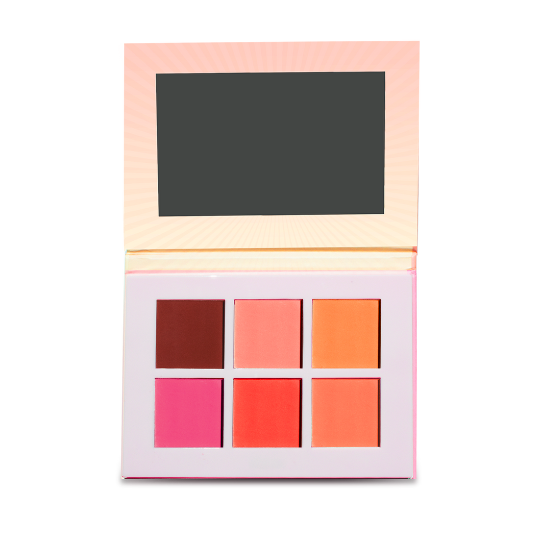 ✨ The lovers Blush palette ✨ - Dapop cosméticos